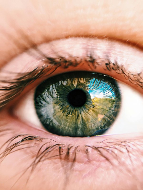 Photographie d'iris en quatuor : un regard captivant à saisir